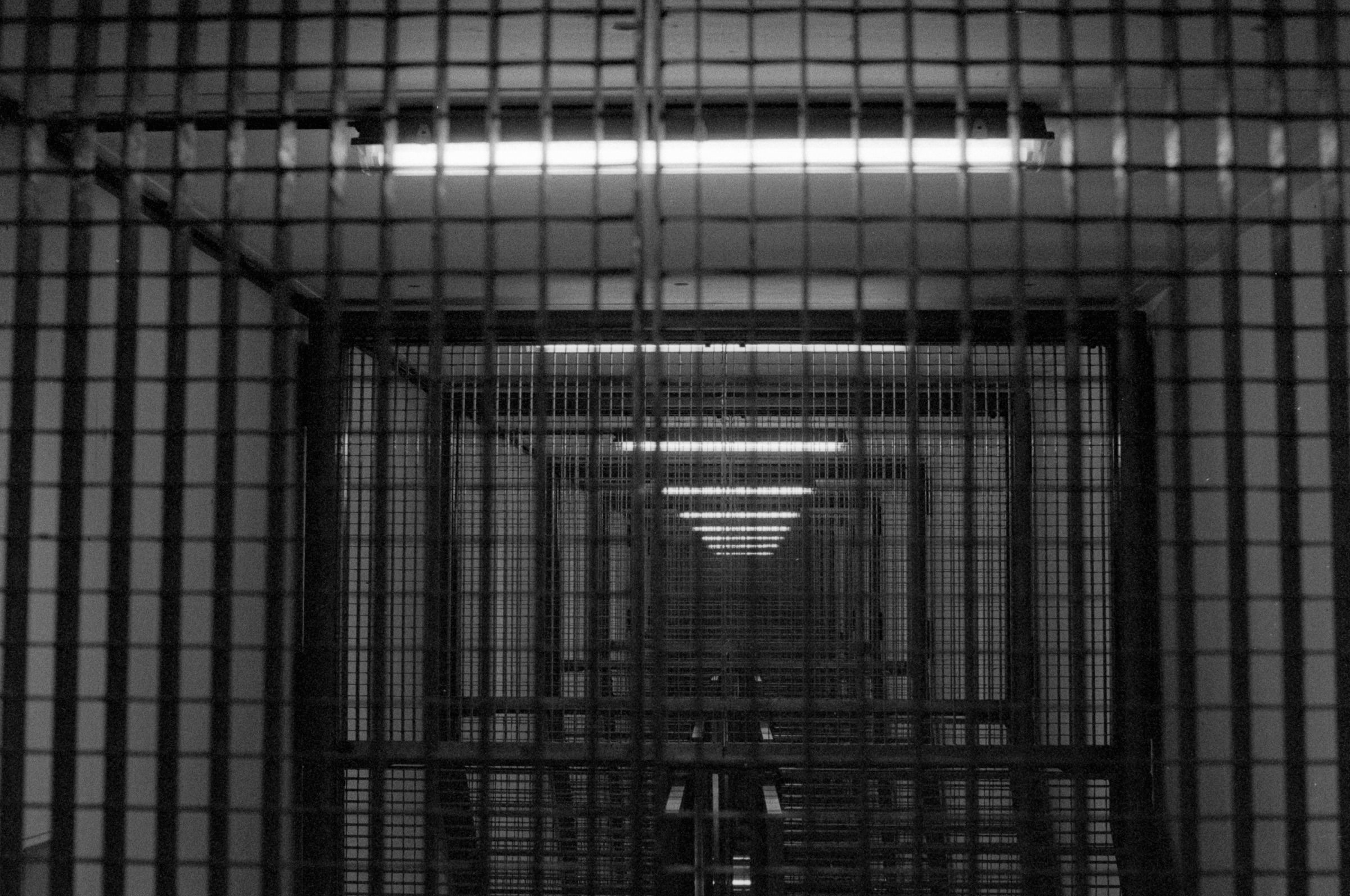 AHP F1994 11 004 sc250521 img26 NLP